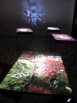 Sandra Ramos; The Dream Of Reason, 2009, Original Installation Indoor, 800 x 400 cm. 