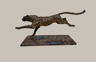 Serhii Brylov; Guepard, 2004, Original Sculpture Bronze, 57 x 27 cm. Artwork description: 241 The slender cheetah, cheetah or pardus  Acinonyx jubatus  is the only modern species of the genus Cheetah  Acinonyx  in the felinae family. According to genetic research, the closest modern relative of the cheetah is the cougar. The cheetah is the fastest terrestrial mammal, capable of reaching speeds, ...