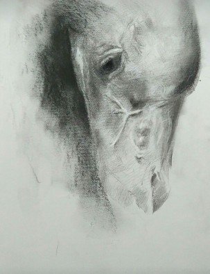 Bharti Yadav; Horse Head, 2019, Original Drawing Charcoal, 20 x 24 inches. Artwork description: 241 Beautiful horse head in charcoal ...