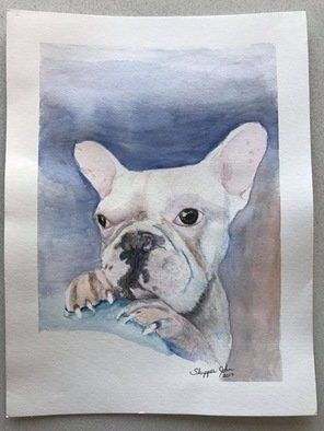 John Rollinson; Snitch, 2017, Original Watercolor, 11 x 16 inches. Artwork description: 241 Portrait of French Bulldog...