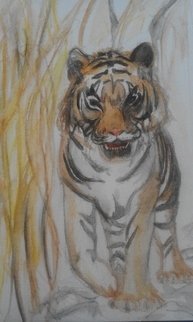 Sofia-Maria Klein; The Tiger Saw Me, 2018, Original Painting Other, 17.6 x 24 cm. Artwork description: 241 Aquarelle Pencil on paper...