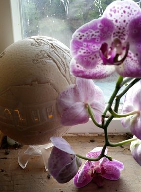 Debbi Chan, 'beauty of an orchid', 2015, original Photography Color,    inches. Artwork description: 17355  Photos from Idaho.  Taken with Samsung cameras.  ...