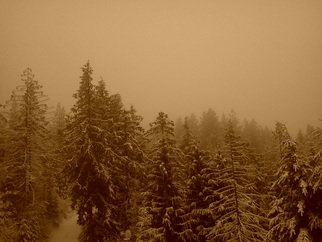 Debbi Chan, 'covered drive', 2012, original Photography Other, 8 x 10  inches. Artwork description: 64875       photos from idaho.     ...