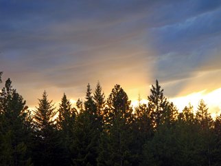 Debbi Chan, 'golden light over the studio', 2010, original Photography Color, 4 x 6  inches. Artwork description: 96159          photos of my idaho country. i will do other size prints.               ...