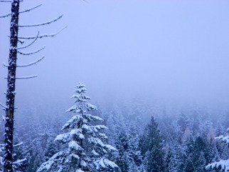Debbi Chan, 'winter wonder', 2010, original Photography Color, 8 x 10  inches. Artwork description: 68043    photos from Idaho.  ...