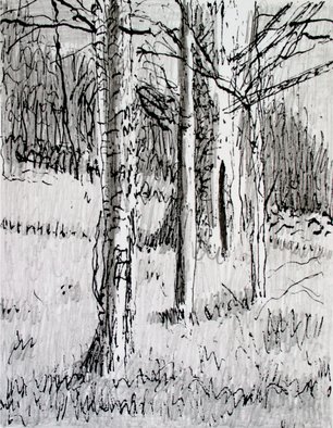 Keith Thrash, 'Hackberries', 1998, original Printmaking Lithography, 9 x 12  inches. Artwork description: 2307  Old and young hackberry trees on a slope west of Demopolis, Alabama. Watercolor wash on print.  ...