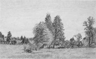 Keith Thrash, 'Landscape with Hollow Log', 1982, original Drawing Pencil, 9 x 6  inches. Artwork description: 2307  Landscape near Gallion, Alabama. ...