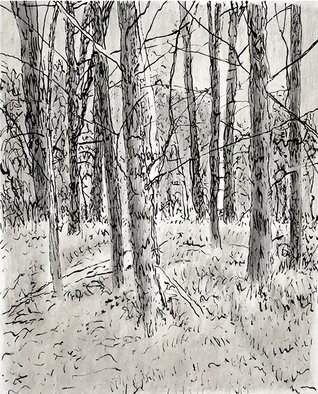 Keith Thrash, 'Pines', 1998, original Printmaking Lithography, 9 x 12  inches. Artwork description: 2307  My favorite work, pines on a hilltop west of Demopolis. ...