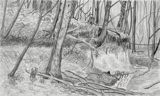 Keith Thrash, 'Stream and Bank', 1982, original Drawing Pencil, 9 x 6  inches. Artwork description: 2307  Limestone bank alongside creek flowing from Demopolis Country Club to Tombigbee River. ...