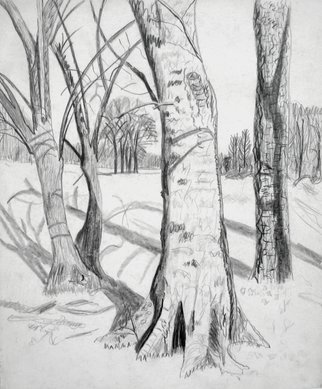 Keith Thrash, 'Three Trees', 1981, original Drawing Pencil, 14 x 17  inches. Artwork description: 1911  Pencil original for watercolor, pasture west of Demopolis. ...
