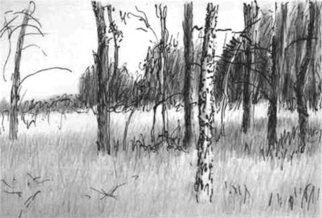 Keith Thrash, 'Trees by a Field', 2001, original Drawing Pencil, 12 x 8  x 1 inches. Artwork description: 2307  Group of trees in riverbottom pasture west of Demopolis. ...