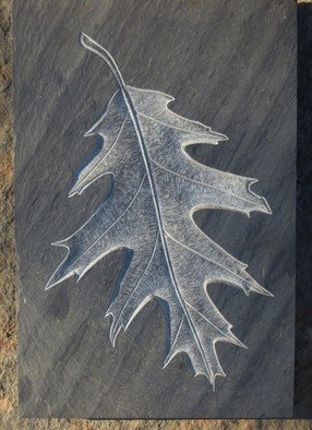 Nils Kulleseid; Oak Leaf In Slate, 2017, Original Bas Relief, 8 x 12 inches. Artwork description: 241 Full sized oak leaf carved in black slate...
