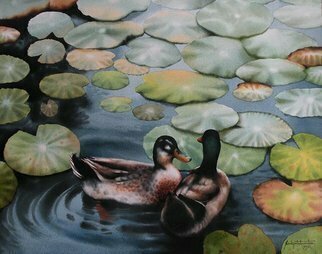 Sudipta Karmakar; Bird Series 9, 2013, Original Watercolor, 27 x 22 inches. Artwork description: 241 two ducks on water surrounded by lilies...