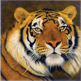 Lawrence Supino; Ozzi, 2000, Original Mixed Media, 40 x 40 inches. Artwork description: 241 Original painting is Acrylic, charcoal and pastel on canvas.  My Wild Cat paintings are inspired by my love of these magnificent animals. 