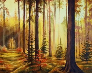 Svetoslav Stoyanov; Lights And Shadows, 2018, Original Painting Oil, 50 x 40 cm. Artwork description: 241 landscape forest sunset trees orange sky...