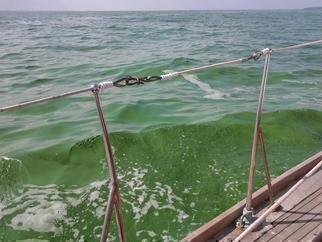 Markus Kruse, 'Soupy Erie Title Update A...', 2010, original Photography Color, 12 x 8  x 1 inches. Artwork description: 5475                          north coast sand sailing beach                                                              ...