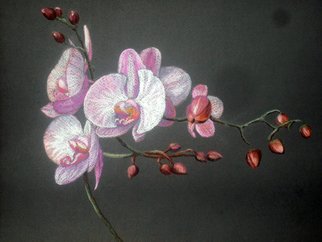 Tatyana Bondareva; Orchids, 2011, Original Pastel, 42 x 30 cm. Artwork description: 241    flowers, orchids , pastel       ...