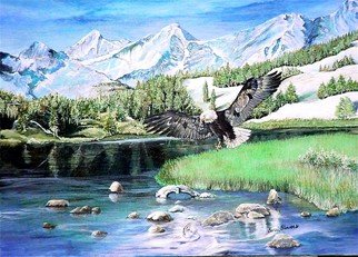 Terri Flowers; American Hunter, 2008, Original Painting Acrylic, 20 x 16 inches. Artwork description: 241  Colorado mountains, stream and bald eagle fishing. ...