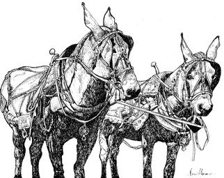 Terri Flowers; Matched Set, 2007, Original Drawing Pen, 20 x 16 inches. Artwork description: 241  Matched set of working mules harnessed to wagon. Pen and ink on illustration board. ...