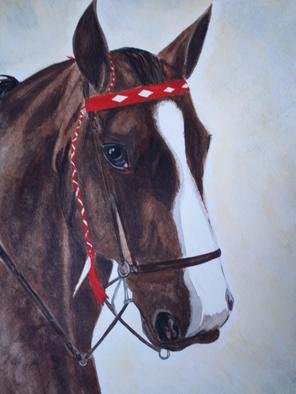 Teresa Peterson; Horse Portrait, 2005, Original Watercolor, 11 x 14 inches. Artwork description: 241     painting, watercolor, animals, horses,             ...