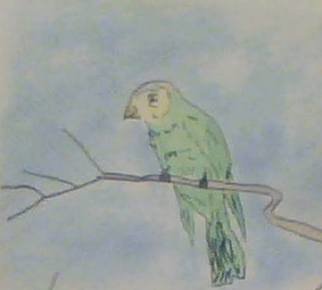 Themis Koutras; Parrot On Tree, 2019, Original Mixed Media, 8 x 12 inches. Artwork description: 241 this is sold in prints over e mail...