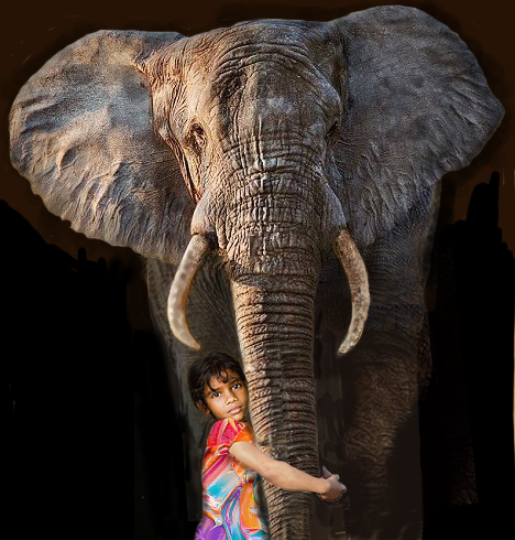David Kingham; Elephant, 2019, Original Digital Art, 60 x 80 cm. Artwork description: 241 For an After COVID- 19 Calendar...