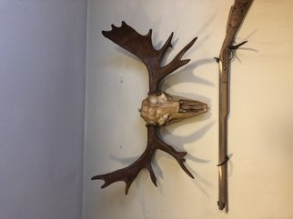 Tony Maez; Moose Alive, 2019, Original Sculpture Wood, 3 x 3 feet. Artwork description: 241 This is a wooden moose skull made from Alaskan spruce with real antler sheds. ...