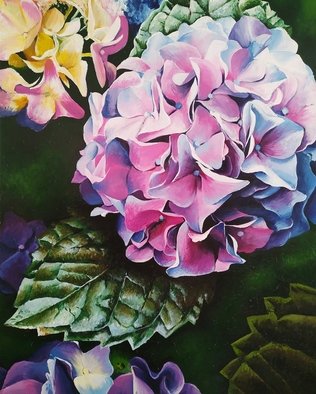 Krisztina T.Molnár; Hydrangea, 2019, Original Painting Acrylic, 80 x 100 cm. Artwork description: 241 Looking at the multitude of wonderful petals, one is lost in the same way as in his thoughts before enlightenment.  This is how the Chinese consider this, associating this beautiful plant with light and clairvoyance. ...