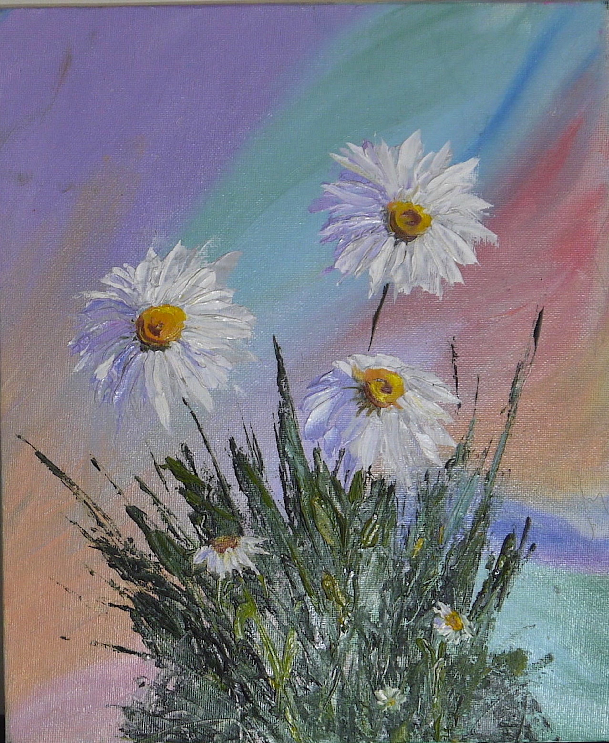 Natalia Kolesnichenko; Favorite Daisies, 2017, Original Painting Oil, 25 x 30.5 cm. Artwork description: 241 Flowers, daisies, camomiles...