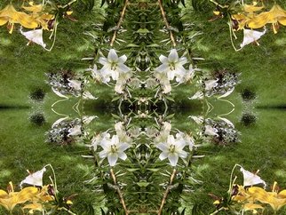 Ulrich  Osterloh, 'Blossoms', 2016, original Digital Art, 16 x 12  x 1 inches. 