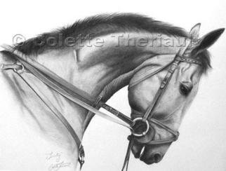 Colette Theriault; Trinity, 2003, Original Drawing Pencil, 18 x 14 inches. Artwork description: 241 Trinity, a 10 year old bay Irish Sport mare, competed in the discipline of 