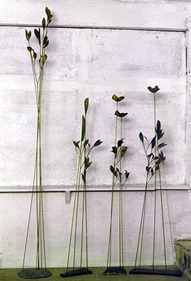 Venelin Ivanov; Flora, 2000, Original Sculpture Other, 140 x 260 cm. 