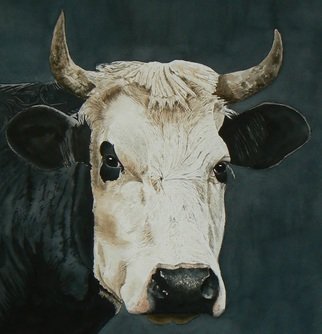 Pim Van Der Wel; Dora4, 2015, Original Watercolor, 46.5 x 52 cm. Artwork description: 241    A portrait of a cow.      ...
