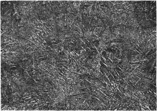 Wieslaw Haladaj; APPEARANCES1, 2013, Original Printmaking Linoleum, 100 x 70 cm. Artwork description: 241      BLACK AND WHITE     ...