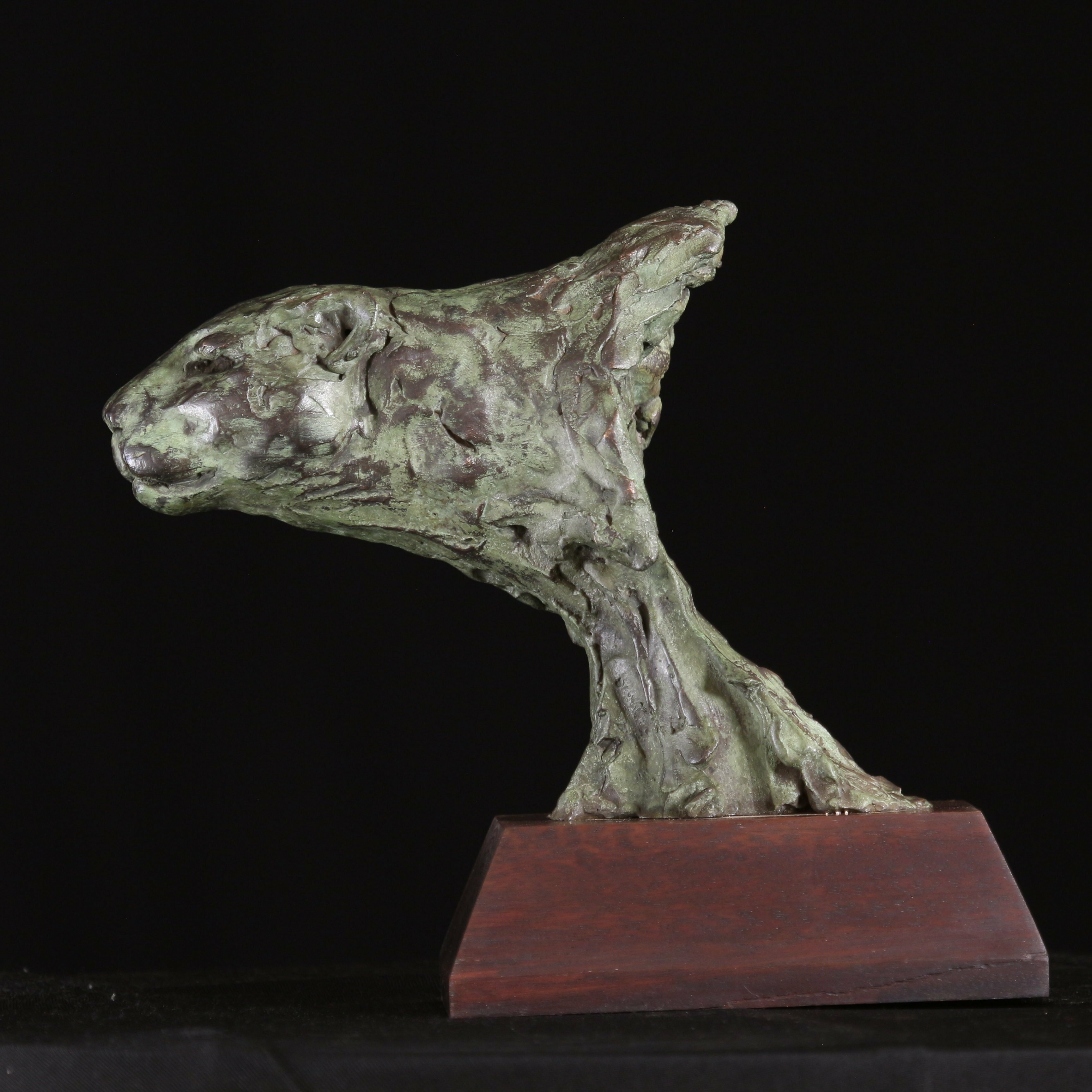 Willem Botha; Anticipation, 2019, Original Sculpture Bronze, 9 x 8 inches. Artwork description: 241 Sculpture Bronze on Wood.There is no better experience to see a Leopard in the wild just before he go in for the kill.  This is a frame grab of this predator waiting in Anticipation for the right moment.This is No 1 out of 15 limited ...