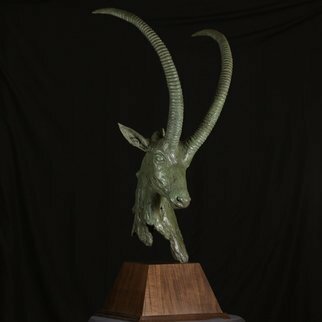 Willem Botha; Sable Antelope Bust, 2019, Original Sculpture Bronze, 500 x 1000 mm. Artwork description: 241 Sable antelope Bust, Bronze with verdigris patina mounted on a Walnut wooden base...