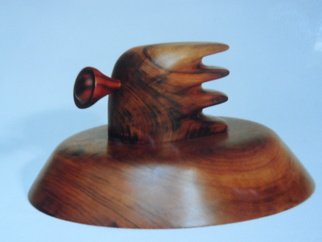 Wilson Sasso; Velox, 2005, Original Woodworking, 29 x 15 cm. Artwork description: 241 Made from imbuia wood and pau- ferro. turned, and sculpted. ...