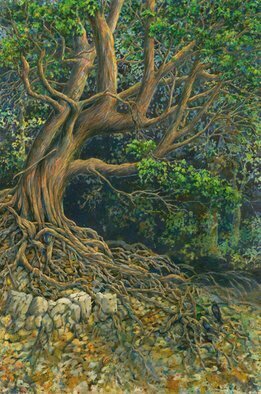Deborah Wilson; Shoresh, 2019, Original Watercolor, 19 x 29 inches. Artwork description: 241 Tree with tangled roots...