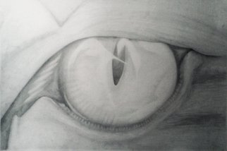 Yohana Moshi; The Lions Eye, 2014, Original Drawing Pencil, 16 x 24 inches. 