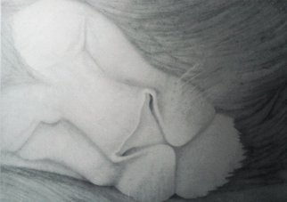 Yohana Moshi; The Sleeping Lion, 2014, Original Drawing Pencil, 16 x 24 inches. 