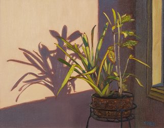 Yue Zeng; 3pm In Winter, 2021, Original Painting Oil, 14 x 11 inches. Artwork description: 241 A interior plant and its shadow in winter afternoon sunlight. ...