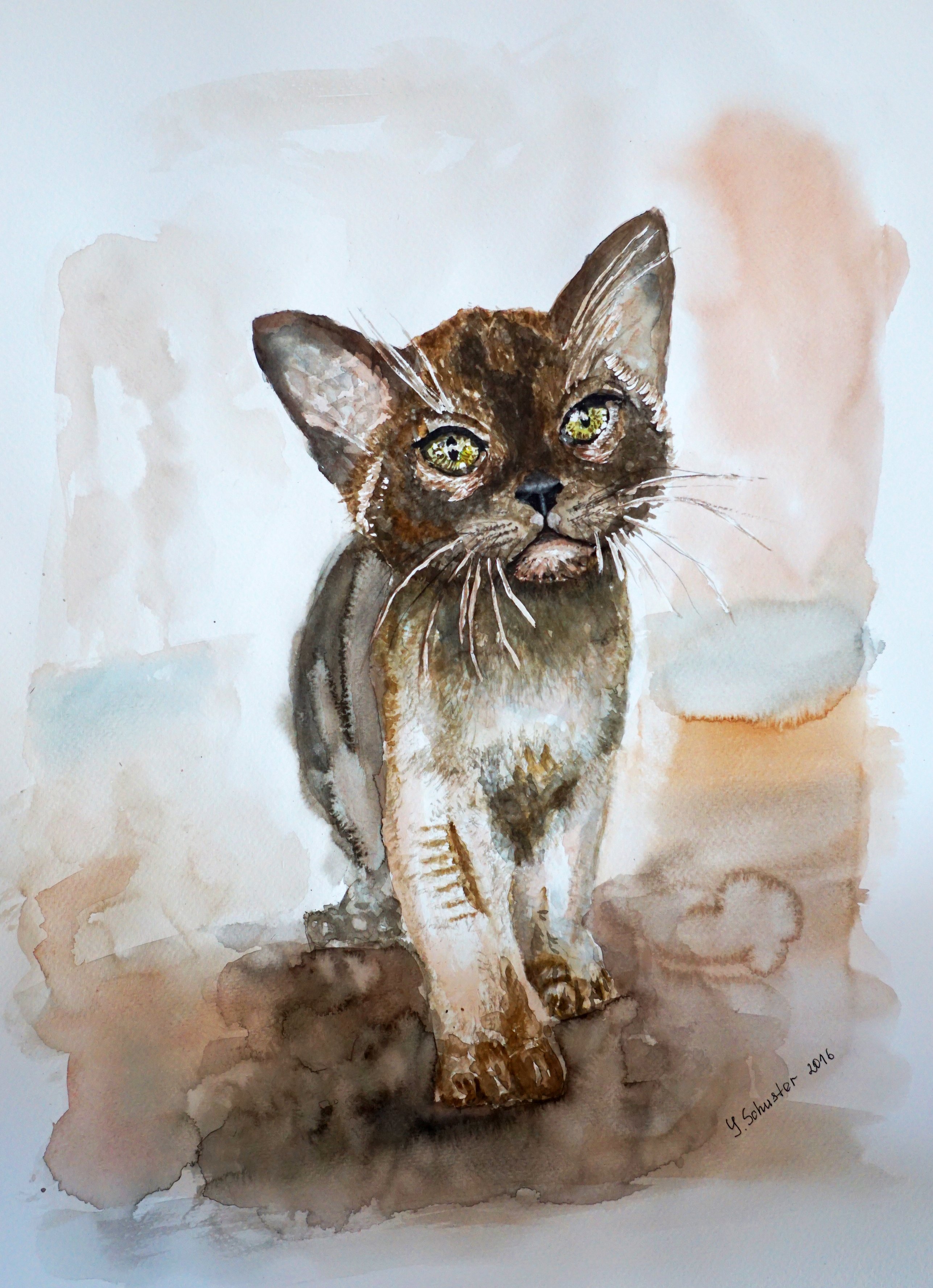 Yulia Schuster; Chocolate Burmese Kitten, 2016, Original Watercolor, 33 x 48 cm. Artwork description: 241 This is one of my original fine art watercolour paintings. Using artists  quality paints and paper. It is signed and dated on the front brown cat  cat and fish  chocolate burmese kitten  pet lover art  pet portrait  watercolor animal art  watercolor cat  watercolor painting animalburmesecat...