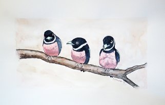 Yulia Schuster, 'Neighborhood', 2016, original Watercolor, 45 x 29  cm. Artwork description: 1758 This is one of my original fine art watercolour paintings. Using artists  quality paints and paper. It is signed and dated on the front Made with love watercolor animal art  watercolor birds  watercolor nature  watercolor on paper animalbirdbirdshumornatureneighborhoodtreewatercolour...