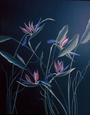 Terry Zarate; Birds Of Paradise, 1995, Original Painting Oil, 22 x 28 inches. Artwork description: 241 Not many flowers are more beautiful than the Birds of Paradise.  They are slightly flamboyant and elegant at the same time.  They probably inspire every artist to paint them. ...