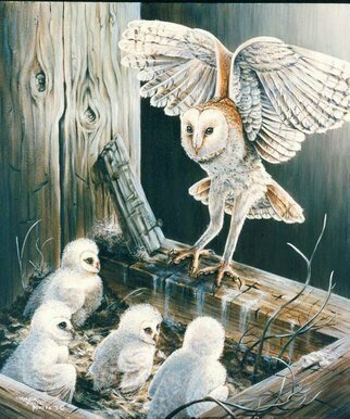 Marsha Bowers, 'Barn Owls', 2010, original Painting Acrylic, 20 x 24  inches. Artwork description: 2307   Painting of Barn Owls ...