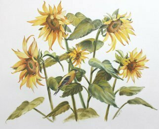 Marsha Bowers; Sunflowers, 2021, Original Painting Oil, 24 x 19 inches. Artwork description: 241 Original oil painting on Bristol Paper...