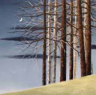 Reza Aghajari; A Moonlit Night, 2012, Original Painting Oil, 70 x 70 cm. 