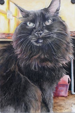 Zoraida Haibi Figuera; Azabache, 2022, Original Watercolor, 18 x 24 inches. Artwork description: 241 Veterinary clinic cat painted using Inktense washes and Inktense pencils...