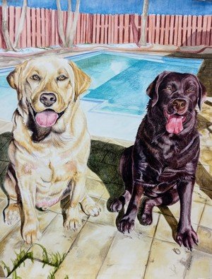 Zoraida Haibi Figuera; Mamba And Coco, 2022, Original Watercolor, 18 x 24 inches. Artwork description: 241 Labradors painted with Inktense washes and inktense pencils on watercolor paper...