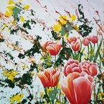 edge of a tulip garden By Aarron Laidig